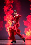 Fiery Passion of Flamenco