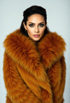 A Touch of Royalty: Majestic in Golden Fur