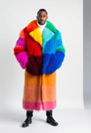 Eclectic Modernity: Expressive Styles in Multi-Colored Fur