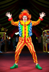 Vibrant Male Clown Embodies Circus Spirit