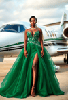 Luxury Takes Flight: The Billionaire's Domain