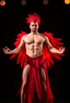 The Fierce Phoenix: A Blaze in Red