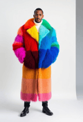 Eclectic Modernity: Expressive Styles in Multi-Colored Fur
