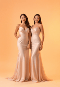 Elegant Twin Sisters in Formal Evening Gowns