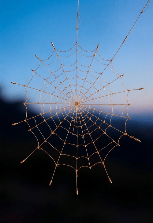 Fashioned from Silk: The Webbed Scarf