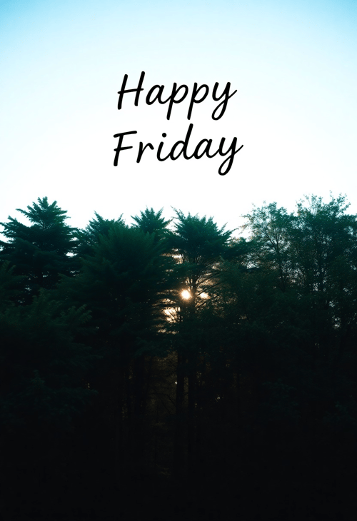Nature's Symphony for Friday