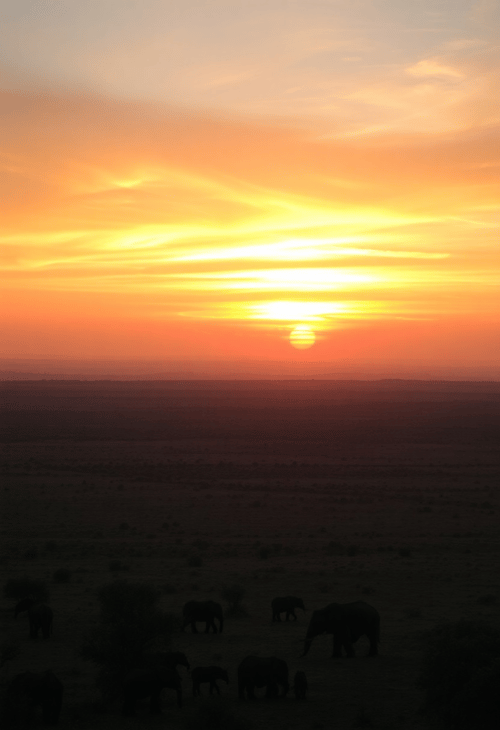Scenic African Landscape - Nature's Majesty