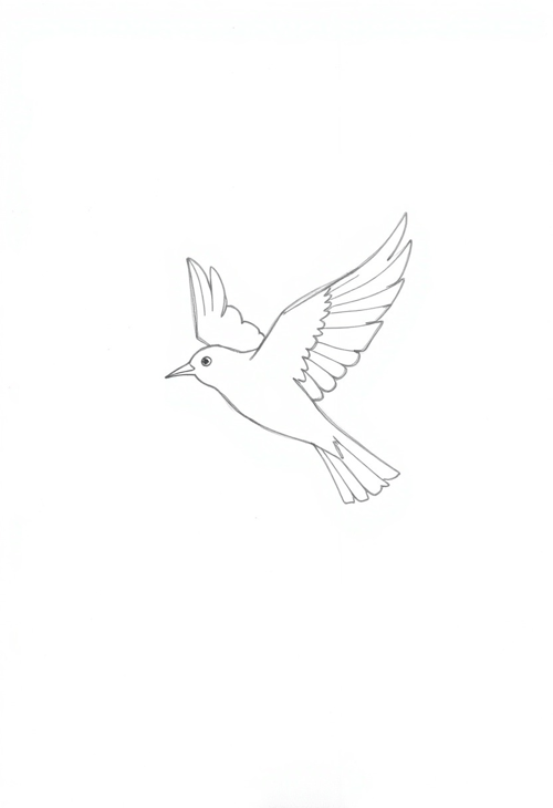 Quick and Simple Outline of a Bird in Flight