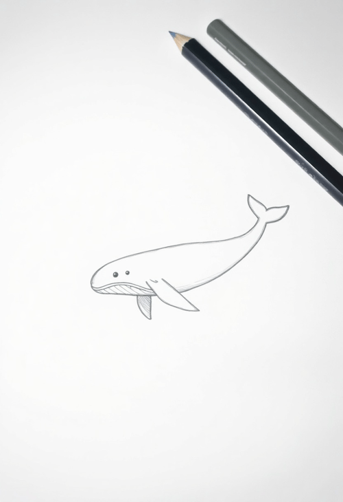 Whimsical Whale: An Oceanic Sketch