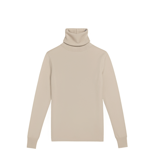 Beige Turtleneck Dress Free PNG Download