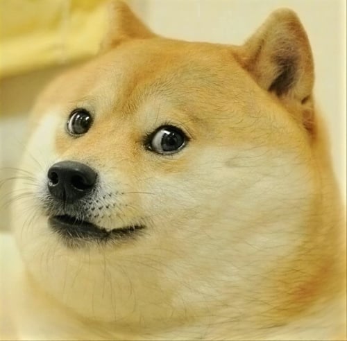 Make Funny Meme Songs With AI