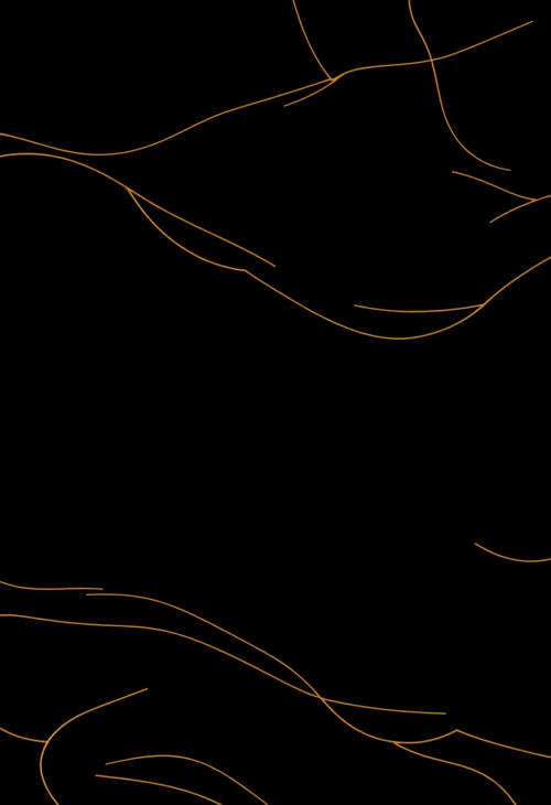 Elegant Gold Lines on Dark