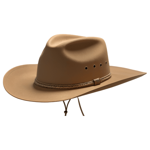 Cowboy Hat 