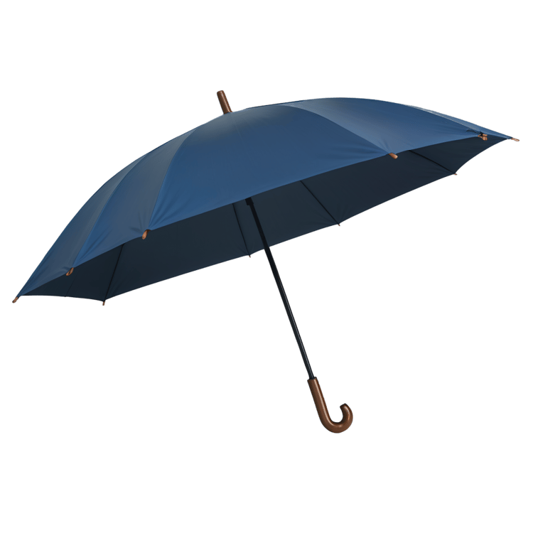 Free Umbrella PNG Download Flat View