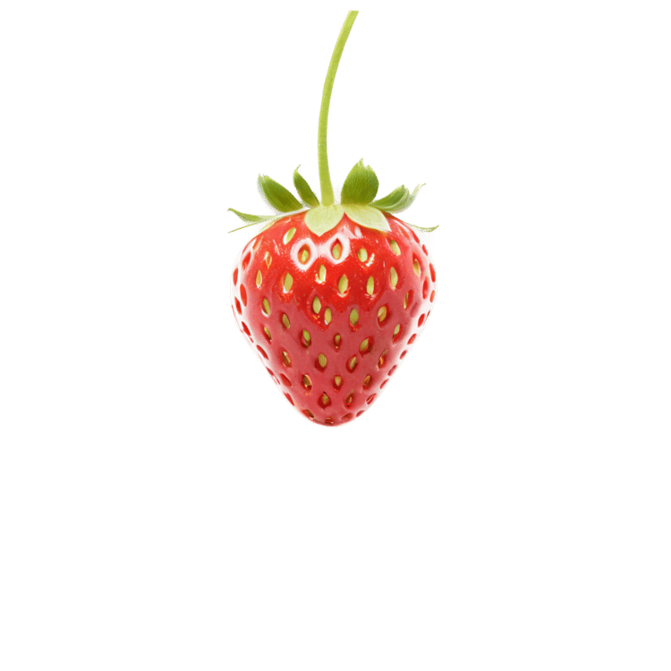 Single Strawberry PNG Image Free Download