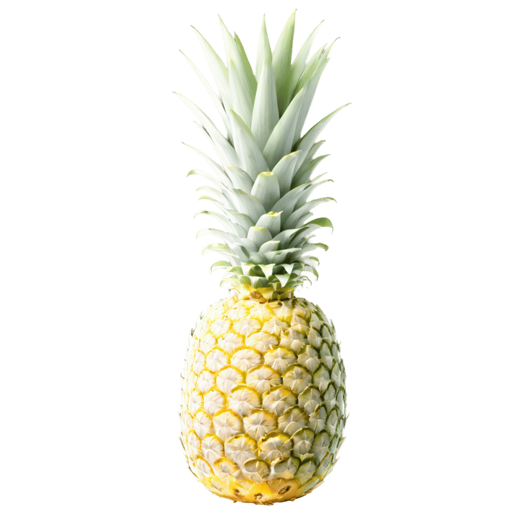 Pineapple PNG Image Download Free