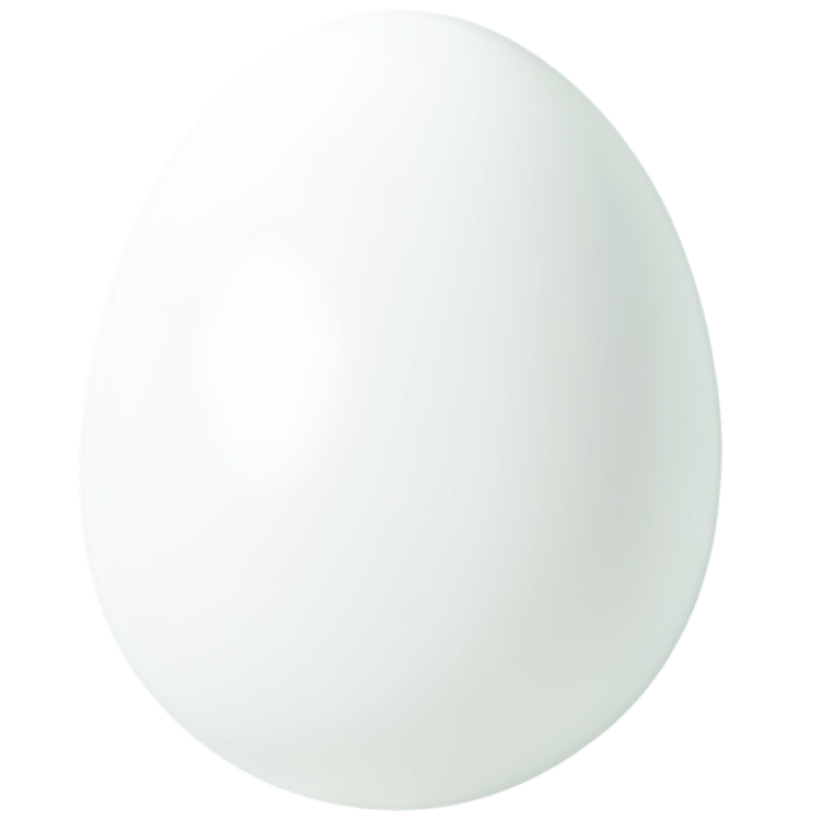 White Egg PNG Free Download for Designs