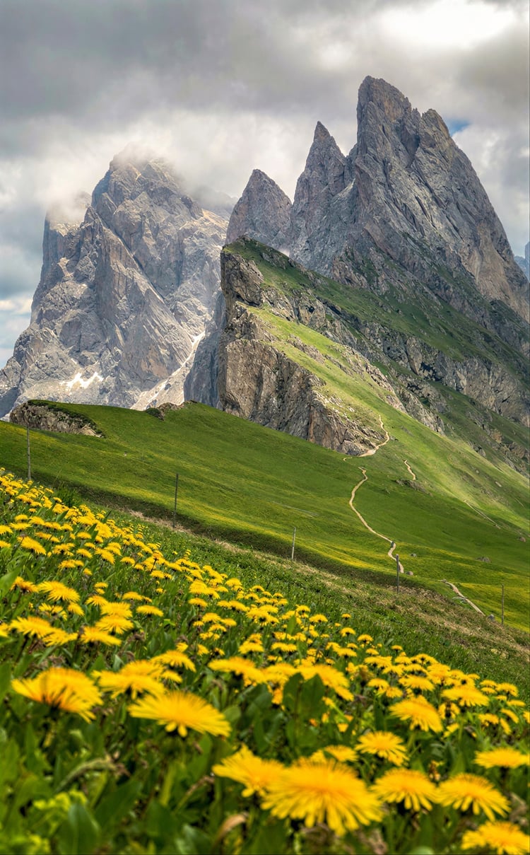 Make Picture Larger with AI